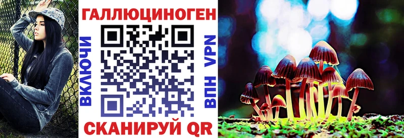 наркошоп  Талица  Галлюциногенные грибы MAGIC MUSHROOMS 